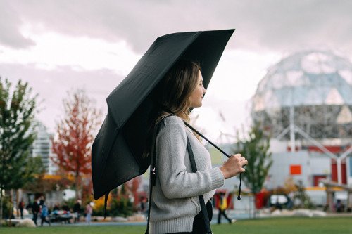 Самый прочный в мире зонт использует систему ребер подвески, напоминающую автомобильную