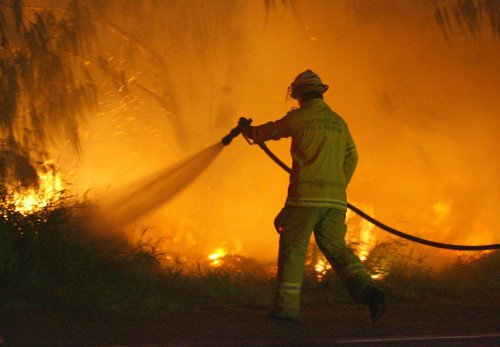 Пожары в австралийских кустах: «Это заставляет задуматься, неужели это начало конца?»