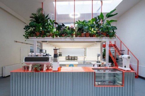 Эта упаковочная кофейня + наполненный растительным дизайном Reaistery создан из 80% строительных отходов!